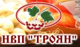 Компания ТРОЯН-разработчик и производитель LeoCAS 100 