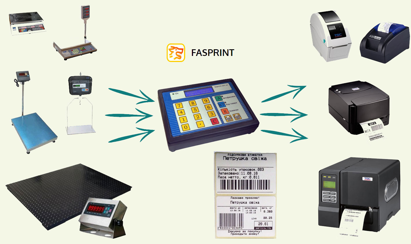 Схема комплекса FasPrint