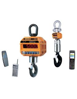 Крановые весы CASTONE III